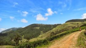 12 acres de beau terrain de thé à vendre au Sri Lanka Central