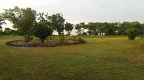 Vente terrain en bord de mer en Analanjirofo