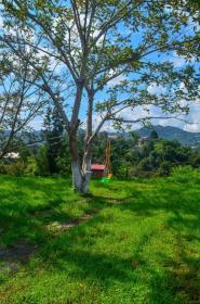 Maison d'hôtes privée à vendre - Villa à Batumi