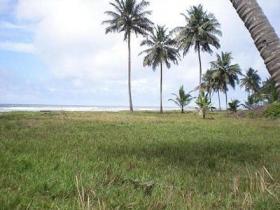 Terrain en première ligne de plage à vendre