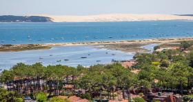 Superbe Villa Cap-Ferret sur 44 hectares dans quartier prisé