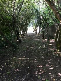 A vendre terrain constructible 10000 m2 à 15 min de Nantes