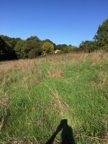 A vendre terrain constructible 10000 m2 à 15 min de Nantes