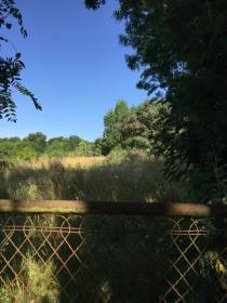 A vendre terrain constructible 10000 m2 à 15 min de Nantes