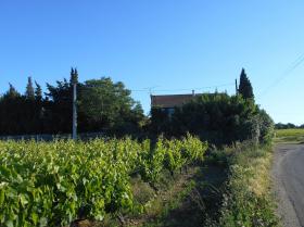Pension pour chiens et chats - Propriété agricole sur 26.600 m2