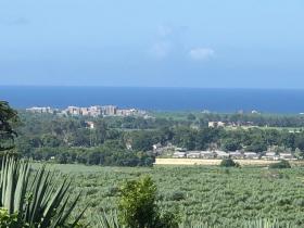 Terrain plat à vendre à côté de Vipingo Ridge