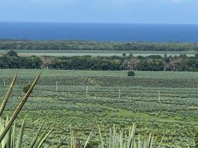 Terrain plat à vendre à côté de Vipingo Ridge