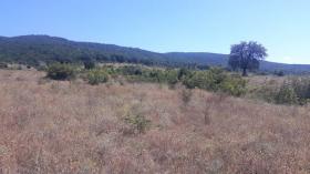 3 terrains à vendre à Kosharitsa