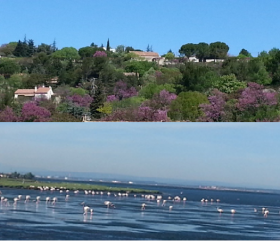 Vente appartement T2/T3 situé a coté Parc du Luberon