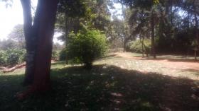 Grande ferme de café à vendre près de la ville de Kiambu
