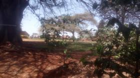 Grande ferme de café à vendre près de la ville de Kiambu