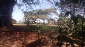 Grande ferme de café à vendre près de la ville de Kiambu