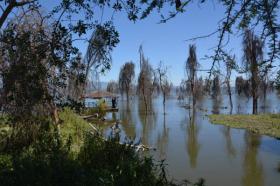 68 ha de propriété au bord du lac Naivasha