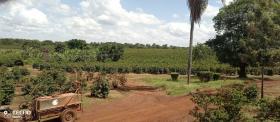 Ferme de café de 475 acres à vendre à Thika, comté de Muranga