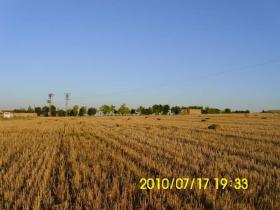 Terrain avec ferme familiale à vendre à Konya