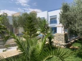 Villa au milieu des oliviers avec vue sur mer