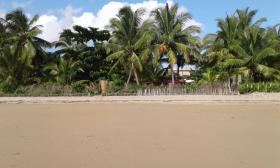 Terrain titré et borné sur la plage d’Ambodrona à vendre