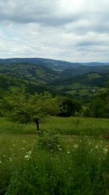 A vendre grand terrain et mas familial - opportunités pour investisseur