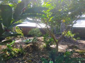 Complexe foncier 70 ha dans la jungle du Pérou proche de l'Amazonie à vendre en urgence