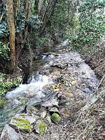 La ferme paradisiaque le long du fleuve Rio Ribeira do Neto