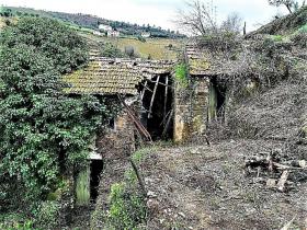 La ferme paradisiaque le long du fleuve Rio Ribeira do Neto