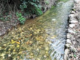 La ferme paradisiaque le long du fleuve Rio Ribeira do Neto