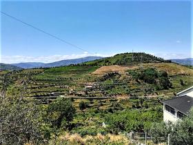 La ferme paradisiaque le long du fleuve Rio Ribeira do Neto