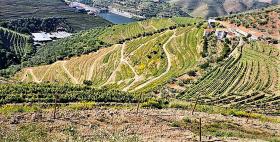 Ferme unique à vendre à Alto Douro Vinhateiro, Parada do Bispo