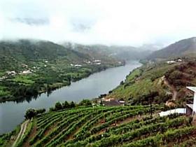 Ferme unique à vendre à Alto Douro Vinhateiro, Parada do Bispo