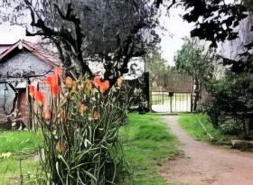 Propriété spacieuse à rénover, terrain de 13.680m2