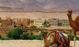 800 ha de terrain proposition idéale pour les investisseurs