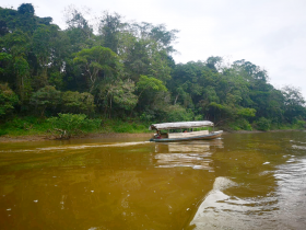 Terrain exquis à vendre dans la forêt d'Iquitos près de l'aéroport