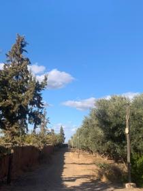 Vente ferme titrée de 2 ha