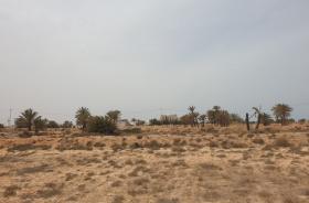 Terrain constructible avec vue mer à l'île de rêve Djerba
