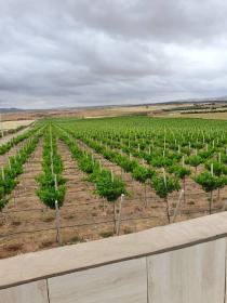 Je cherche à vendre exploitation agricole 30 ha ou partenaire économique