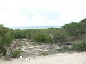 Terrain titré et constructible à vendre par lot