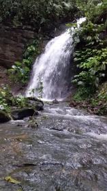 La ferme de 71 ha avec cascades qui naissent dans les montagnes