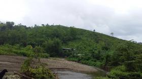 La ferme de 71 ha avec cascades qui naissent dans les montagnes