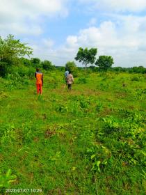Parcelle agricole 100 ha pour projet agricole ou élevage
