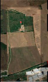 Incroyable terrain de 75 hectares à Meknes