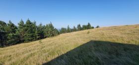 Terrain pour la construction de villas ou chalets familiaux