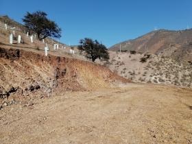 Je vends un terrain, terrain vacant - terrain de 6200 m2
