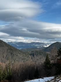 Terrain constructible 30000 m2 + zone forestière 20000 m2