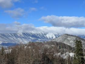 Terrain constructible 30000 m2 + zone forestière 20000 m2