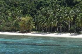 Près de 4 hectares de front de mer sur une île tropicale de premier ordre