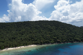 Près de 4 hectares de front de mer sur une île tropicale de premier ordre