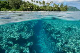 Villa privée individuelle au cœur du Triangle Mondial de Corail