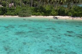 Double façade de plage, plantation de noix de coco existante, promontoire incroyable avec cascade saisonnière