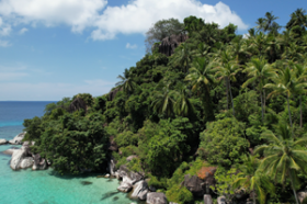 Double façade de plage, plantation de noix de coco existante, promontoire incroyable avec cascade saisonnière