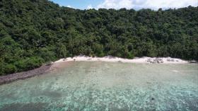 Front de mer privé bordé de palmiers, développement zoné - vues élevées et coraux supérieurs